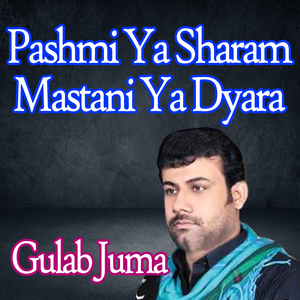 Pashmi Ya Sharam Mastani Ya Dyara