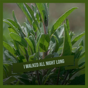 Have A Talk with God