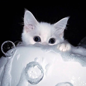 你退出我的世界，却还占据我的记忆