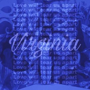 弗吉尼亚（Love Will Tear Us Apart）