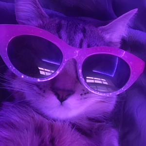 Elle veut du love (feat. Neiro)