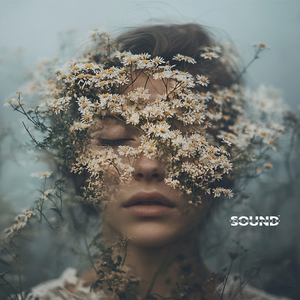 Energy System Balance