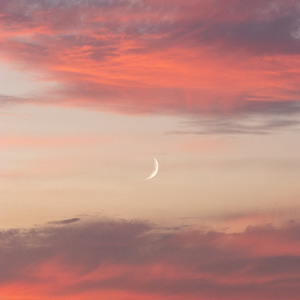 Blissful Serenity Cove