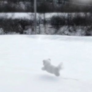 冬季（prod.空空壹）