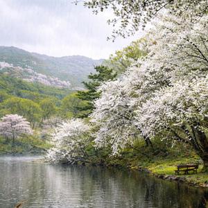 Beneath the Sound of Rain