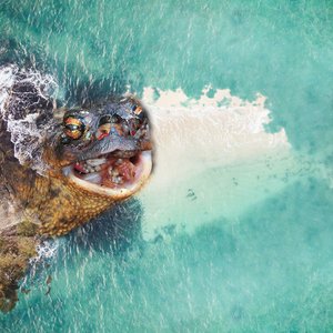 Naukacuvu & Nadroga-Navosa