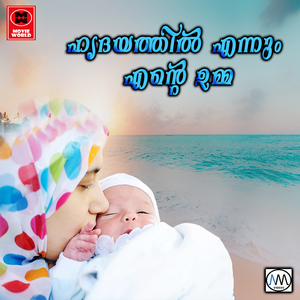 Mullapoovinte Niramanu