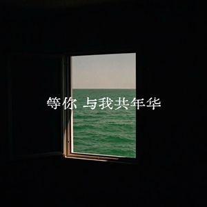 等你与我共年华
