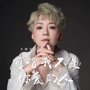 可惜我不是你爱的人