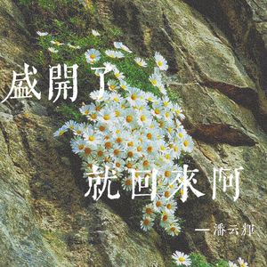 盛开了 就回来啊