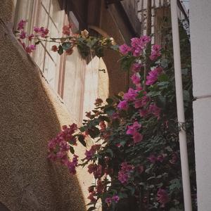 慢冷（cover 张碧晨）