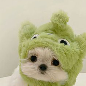 Ведьма и осел