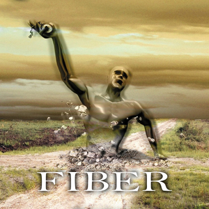 Fiber