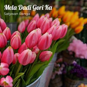 Mela Dadi Gori Ka