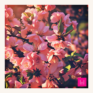 прикосновение