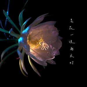 昙花一现雨及时（Cover：周深）