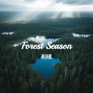 ASMR-森林之声-001 5.0