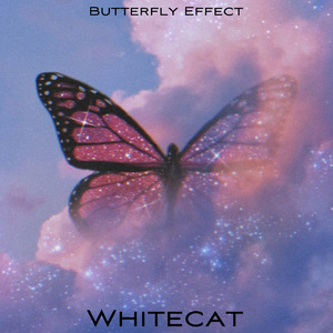 Butterfly Effect