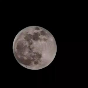 当妮走了2024（AKA Jones -real life.Remix By.徐真真）