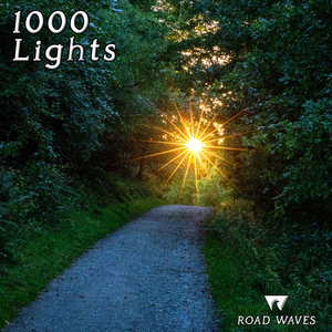 1000 Lights