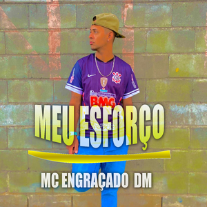 Meu Esforço