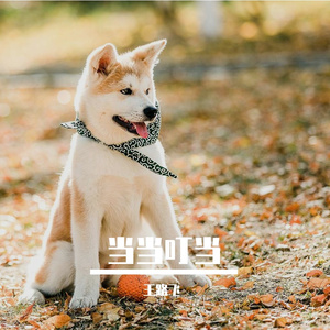 Freestyle Beat 态度是心的面具