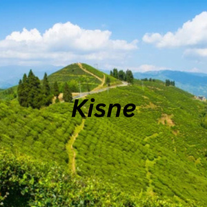 Kisne