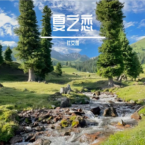 夏之恋（Prod.misogyny）