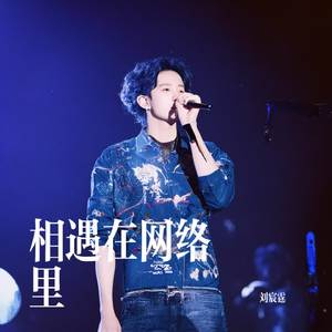 相遇在网络里