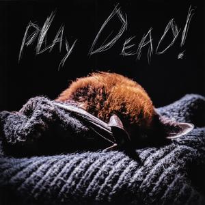 Play Dead!