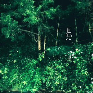 Deep In A Forest Beyond City Limits