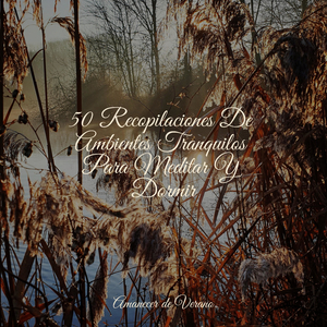 Apreciación Eufórica