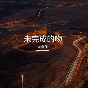 未完成的吻