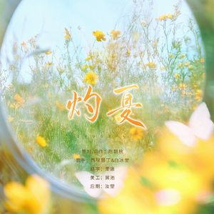 灼夏——全职高手双花同人曲