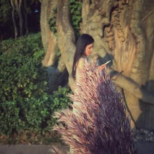 有没有那么一首歌（翻自 周华健）