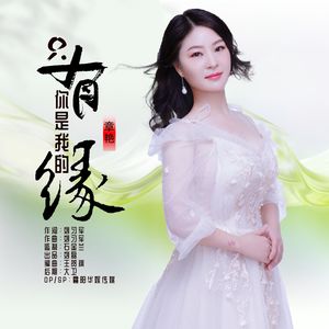 只有你是我的缘（DJ版）