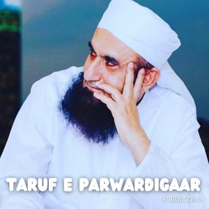 Bakheel Ka Daakhla