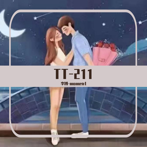 TT-211