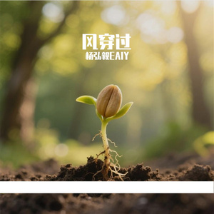 风穿过