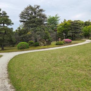 調和と共生の証(World Peace Song)