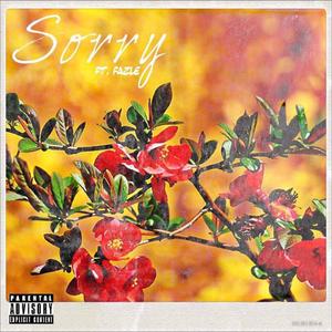 Sorry (feat. Fazle)