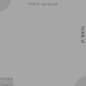 SOUL'd (feat. APEXLEON)