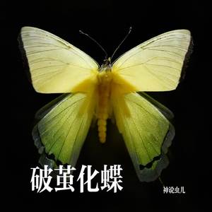 破茧化蝶