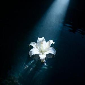 镜花残沙