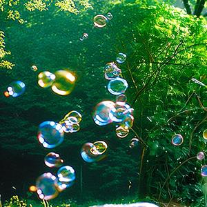 네가 있는 계절