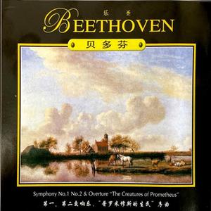 贝多芬第一交响曲 Symphony No.1 in C major-I. Adagio molto-Allegro con brio
