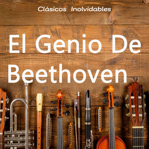 Cuarteto De Cuerda Nº3 Op18/3 Presto