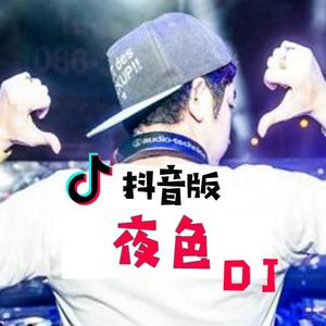 梁剑东-夜色 （抖音dj版）（DJ抖音热歌 remix）