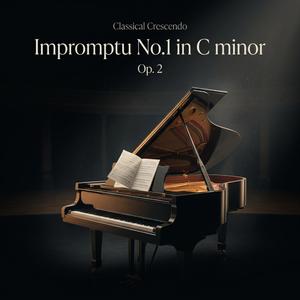 Impromptu N.1 in C minor, Op.2