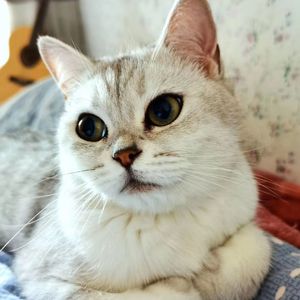 纸片爱（Prod.Gr33nart Beats）